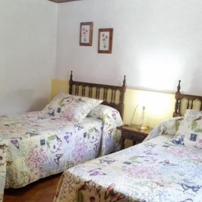 Casa Rural Barangua En El Pirineo Aragones Santa Cruz De La Seros Exterior photo